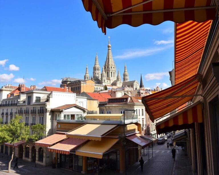 Toldos en Madrid: protege tu terraza con estilo y calidad