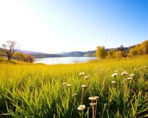 Consejos para mantener una mente positiva