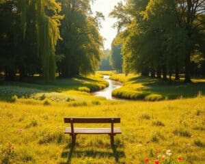 Las ventajas de una vida más consciente y simple