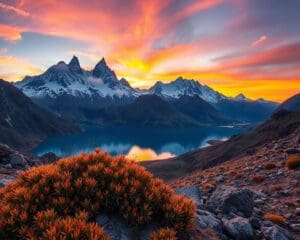 ¿Cómo se descubren paisajes únicos en Chile?